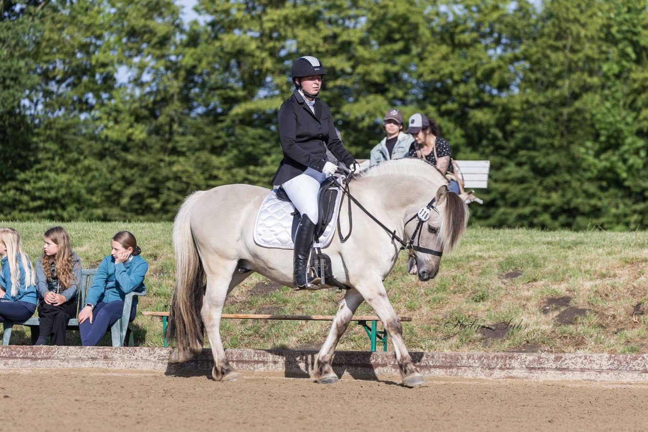 Bild 173 - Pony Akademie Turnier